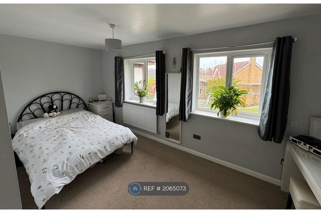 Detached house to rent in Valley Road, Markfield, Leicester