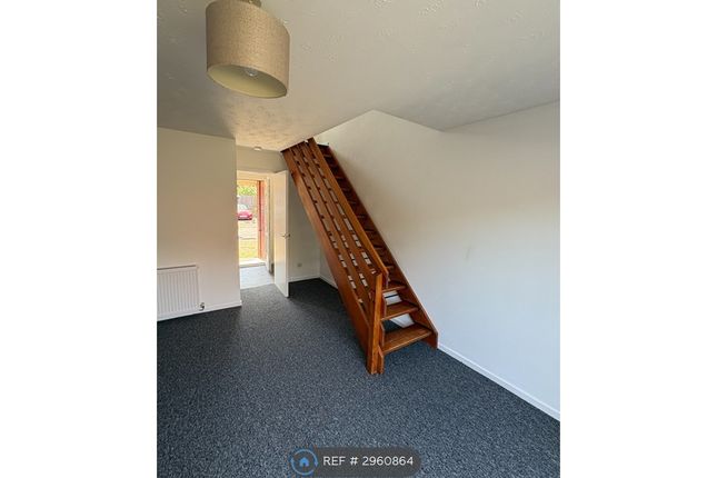 Cranemore, Werrington, Peterborough photo 3