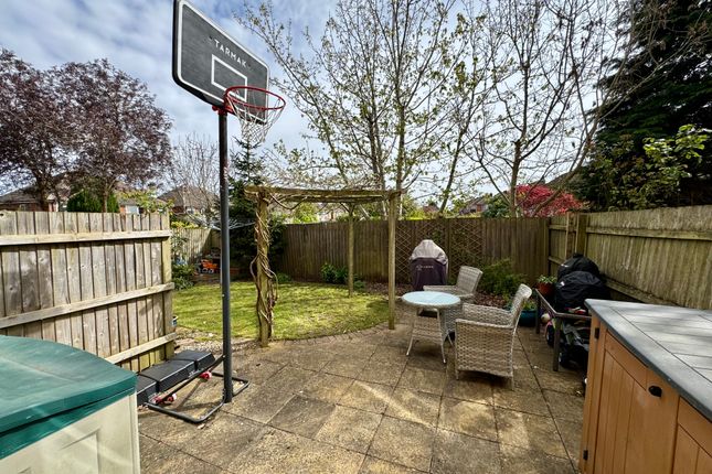 Garden And Patio