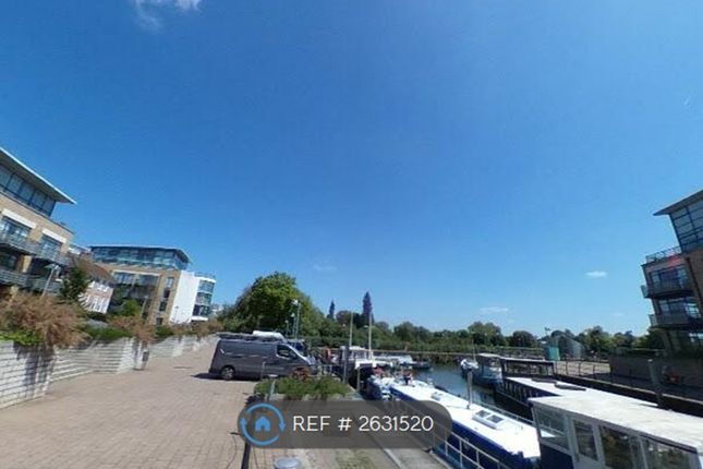 View In Front Of The Apartment