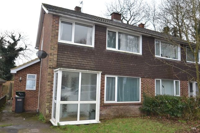 Thumbnail Semi-detached house to rent in Shaftesbury Road, Canterbury, Student Property