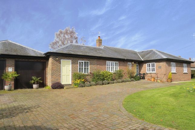 Thumbnail Detached bungalow for sale in Catherine Road, Woodbridge