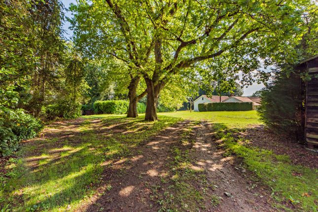 Copt Hill,, Fulvens, Guildford photo 2