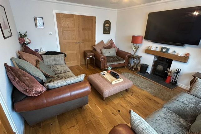 Bryn Gannock, Conwy photo 3