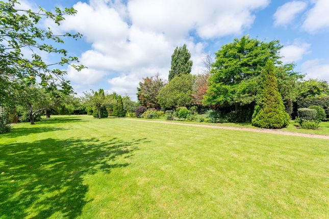 East Churchfield Road, Acton photo 4