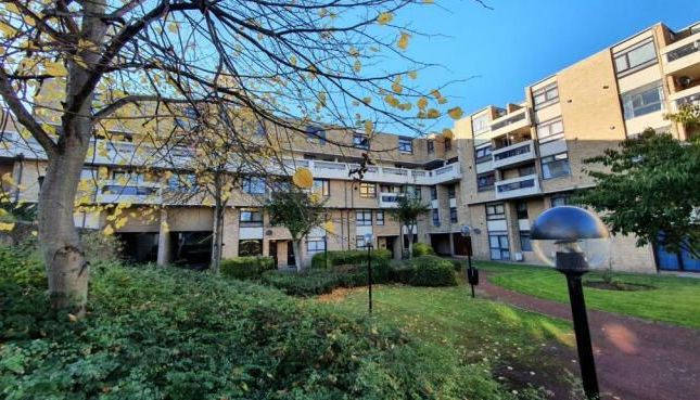 69, Neville Court, Washington photo 4