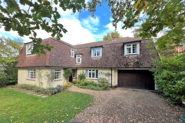 Thumbnail Detached house for sale in Grove Road, Cranleigh