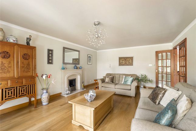Birkland Wood,, 6, Culter House Road, Aberdeenshire photo 4