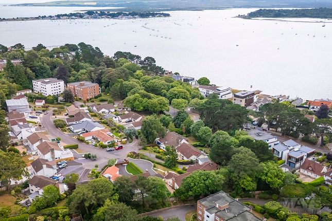14, Avalon, Lilliput photo 2