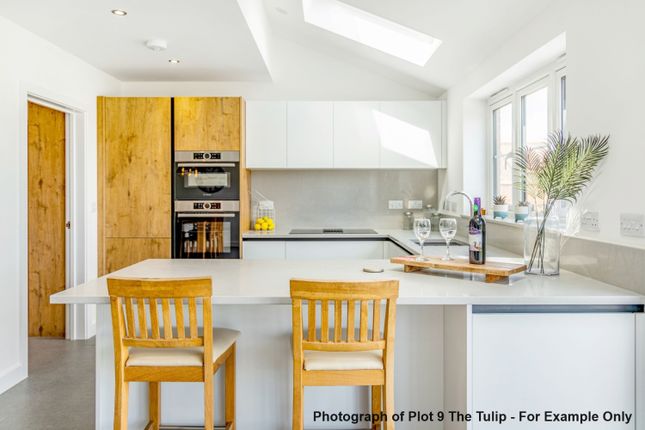 Plot 40 The Cherry, Brunswick Fields, Spalding photo 2