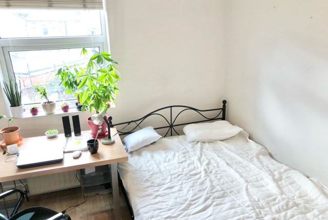 Thumbnail Shared accommodation to rent in Argyle Road, Southampton