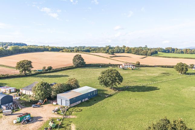 Page 1 1358564-23-68dc1cd443173-Arw.Jpg