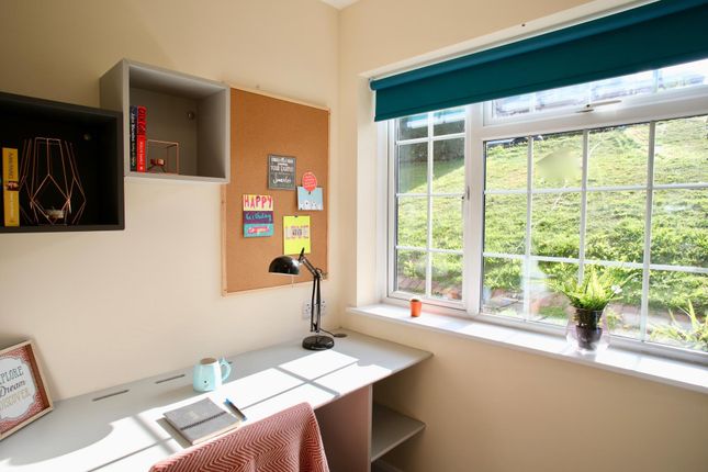 A Bright And Inviting Study Area With Ample Natura...