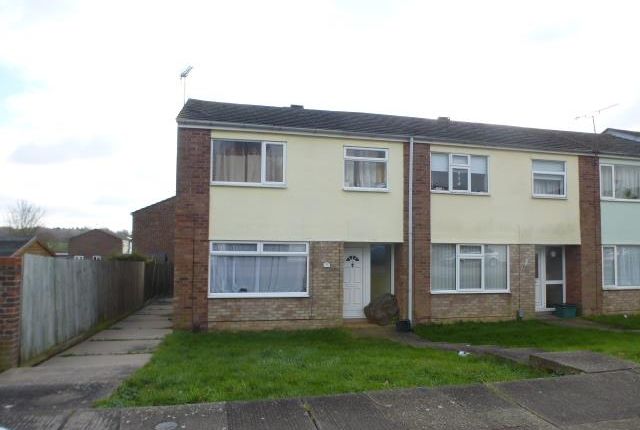 Thumbnail Semi-detached house to rent in Sebastian Close, Colchester