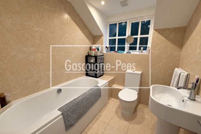 Haslemere photo 4