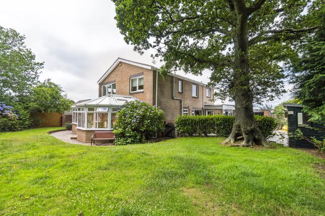 77, Powisland Drive, Plymouth photo 4
