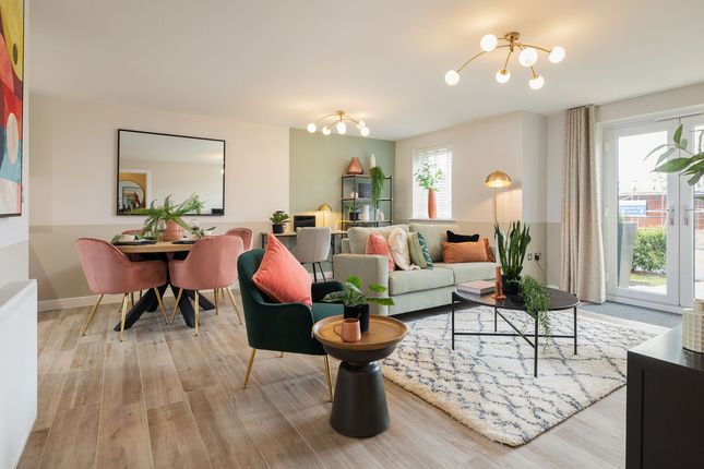 Showhome Photography