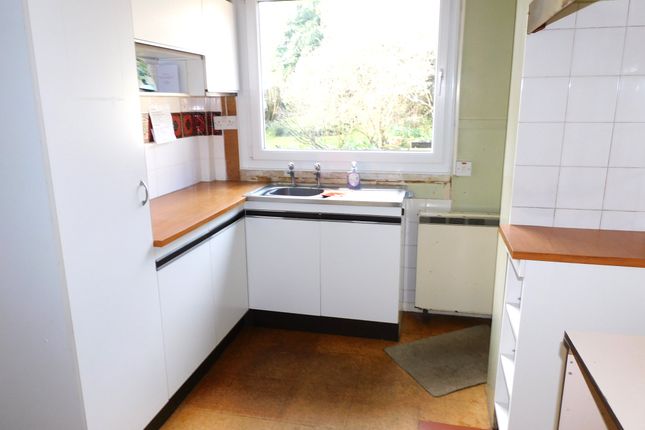 6 Elm Villas, Fair View Lane, Colyford photo 3