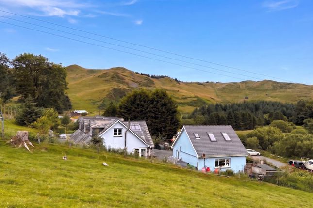 Ty Barcud, Aberystwyth photo 4