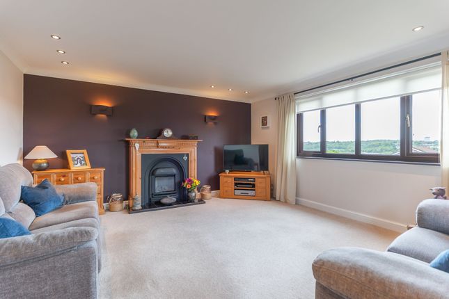 5 Wentwood Road, Newport photo 4