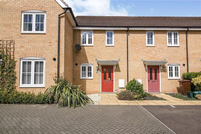 Thumbnail Terraced house for sale in Cinder Street, Colchester, Essex