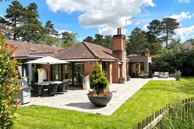 Thumbnail Bungalow for sale in Dane O'coys, Herts., Bishop's Stortford