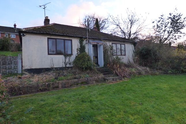 Thumbnail Detached bungalow for sale in The Dene, Hindon