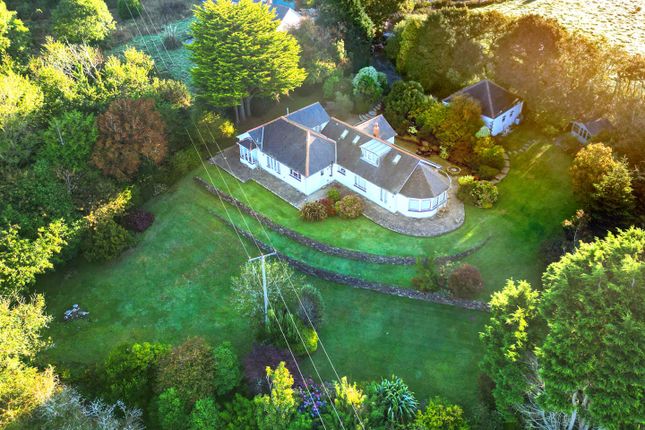 Pipers Green Dronea-4.Jpg