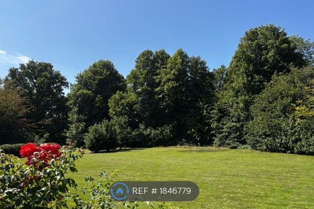 View To In-Ground Trampoline