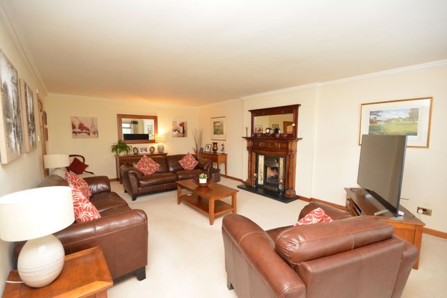 Davall Shieldhill Road, Falkirk photo 2