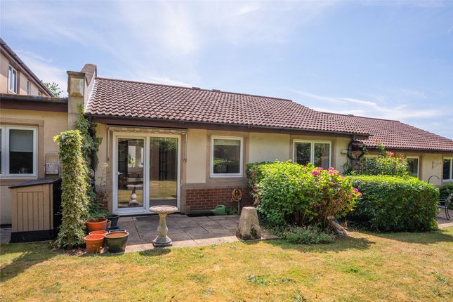 17 Ashfields,, Alma Road, Surrey photo 2