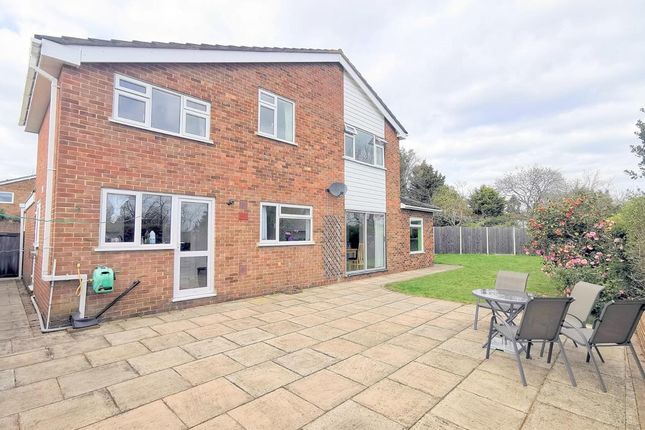 Thumbnail Detached house for sale in Lamorna Close, Orpington