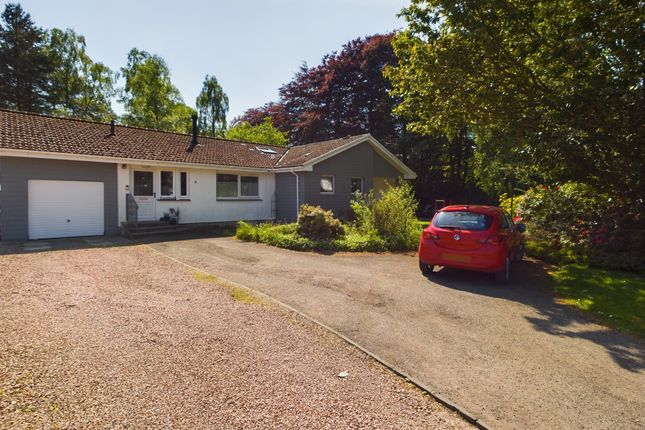 Thumbnail Bungalow for sale in 6 Woodlands Grove, Blairgowrie, Perthshire
