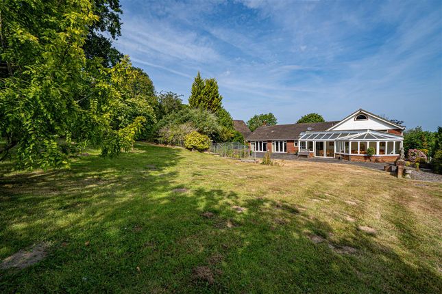Beechwood, Chowns Hill, Hastings photo 3