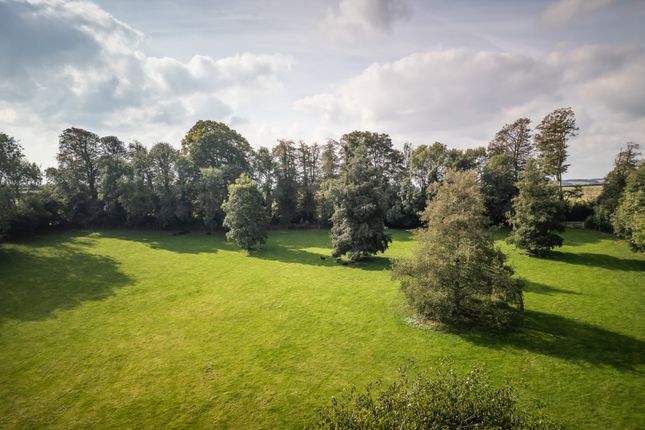 Paddocks