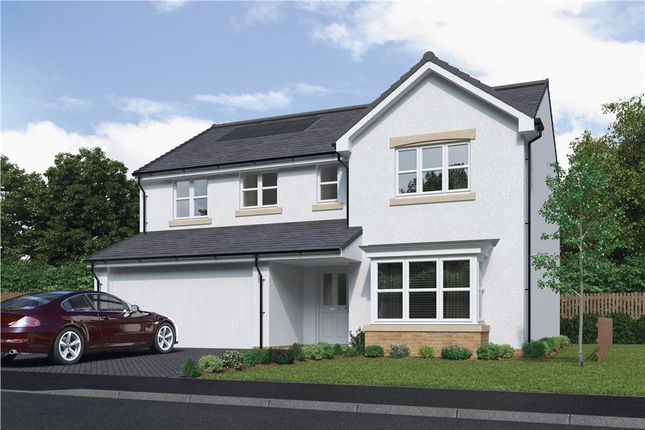 Thumbnail Detached house for sale in "Bayford" at Muirend Court, Bo'ness