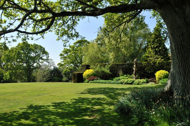 Grounds