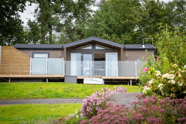 Thumbnail Lodge for sale in Leven