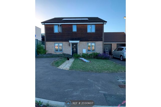 Detached house to rent in Redwing Place, Corby