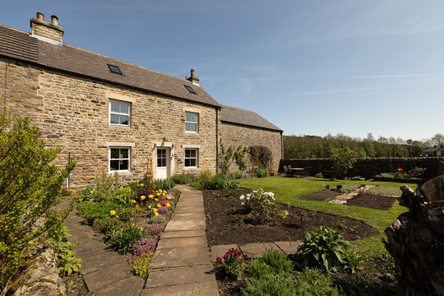 Thumbnail Cottage for sale in Lowburn Farm, Front Street, Ireshopeburn, County Durham