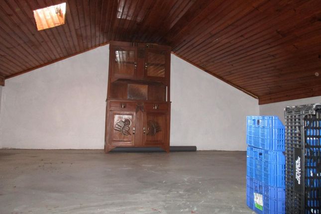 Detached house for sale in Penamacor (Parish), Penamacor, Castelo Branco, Central Portugal