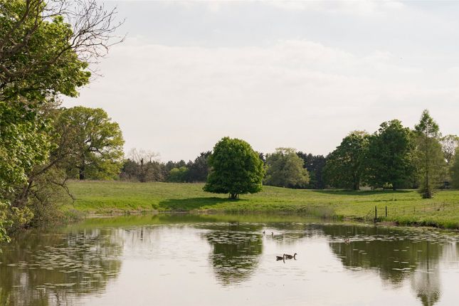 Grounds