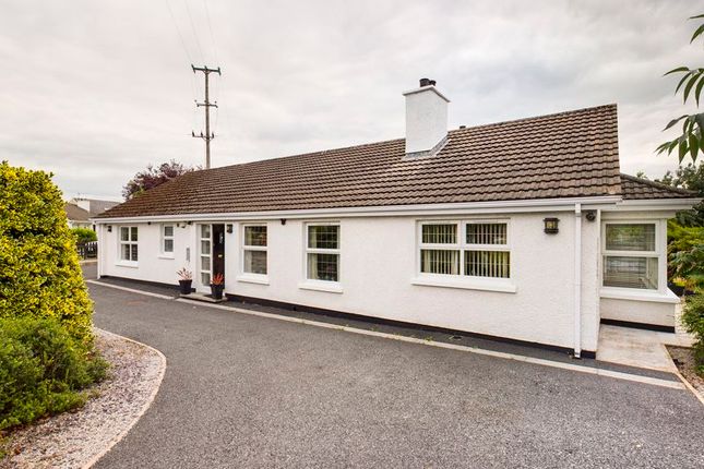Detached bungalow for sale in Chestnut Grove, Newry