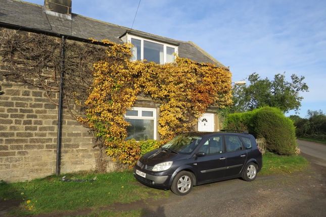 Thumbnail Semi-detached house for sale in Hepscott, Morpeth