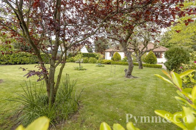 Detached bungalow for sale in Yarmouth Road, Norwich