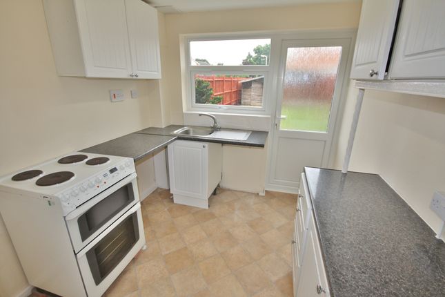 13, Petunia Crescent, CHELMSFORD photo 5