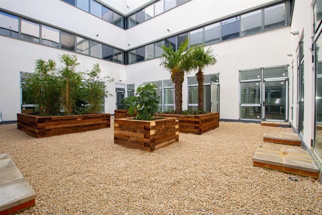 Garden.Jpg