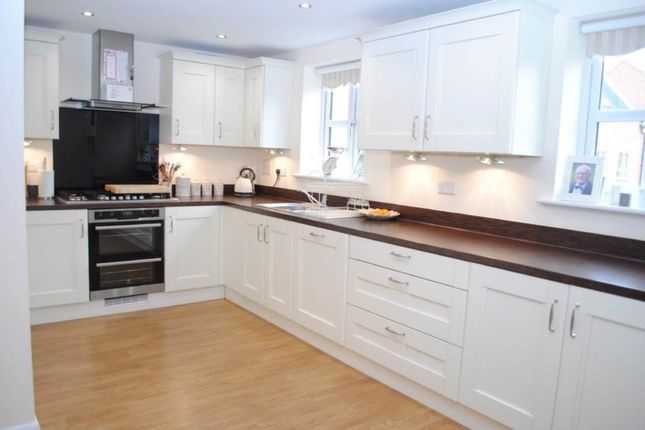 Semi-detached house to rent in Denman Drive, Newbury