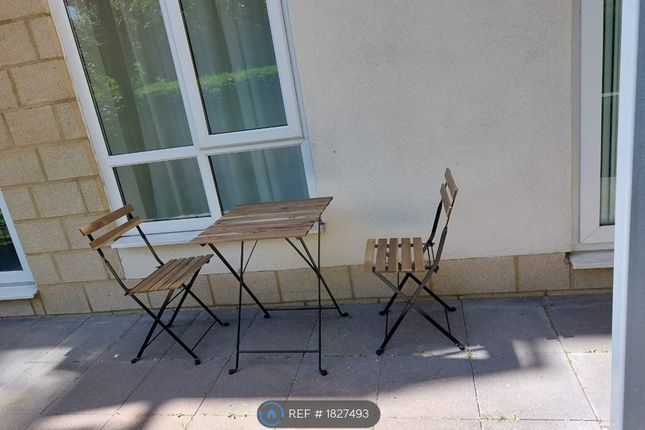 Patio_1