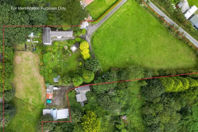 Sparry Farm, Sparry Bottom, Redruth photo 2